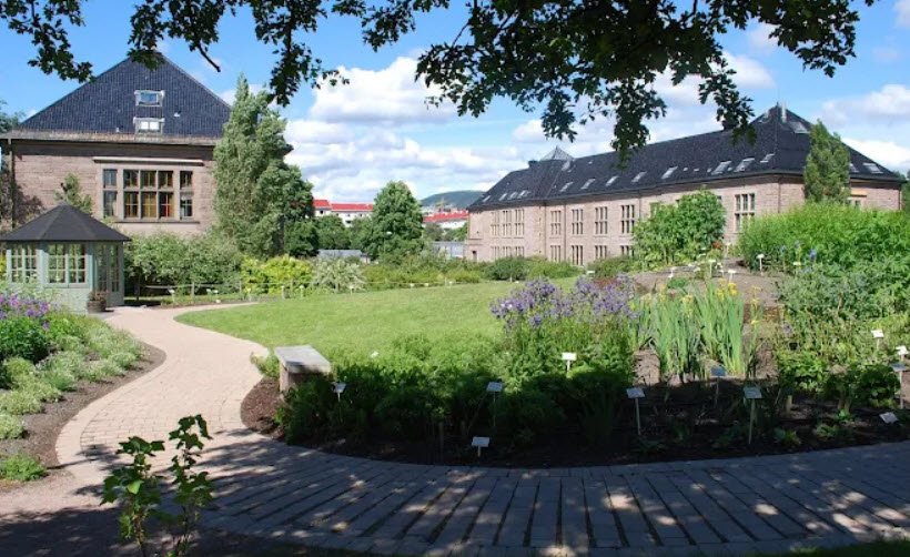 Botanical Garden, Norway